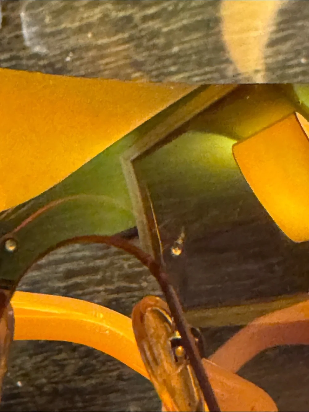 Tory Burch Brown Gradient Shield Sunglasses with Gold Case